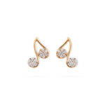 Shiny Duo Diamond Earrings