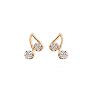 Shiny Duo Diamond Earrings
