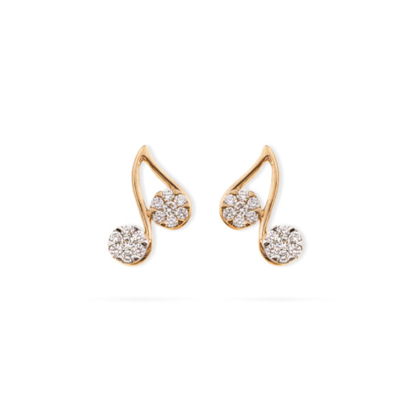 Shiny Duo Diamond Earrings