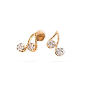 Shiny Duo Diamond Earrings